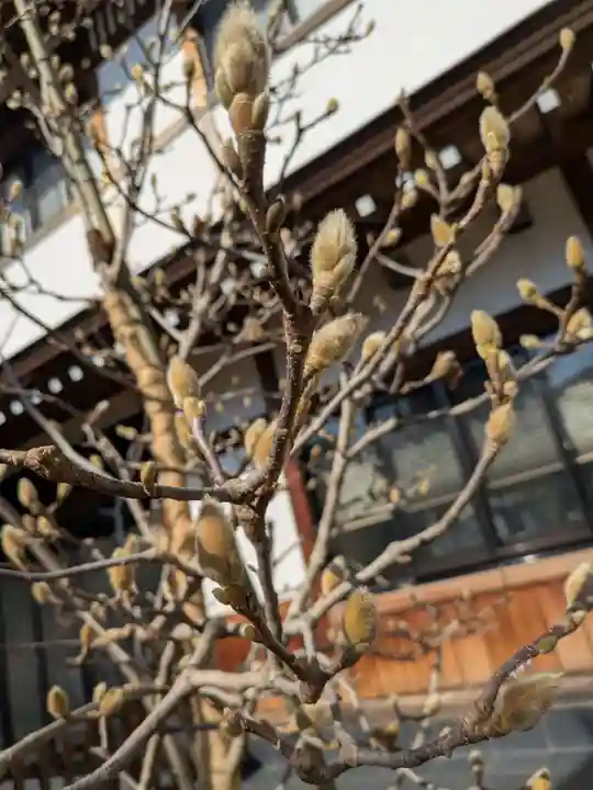 放生寺(東京都)