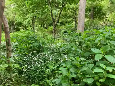 三千院門跡(京都府)