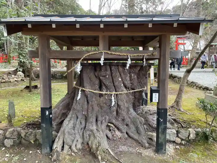 大原野神社の自然
