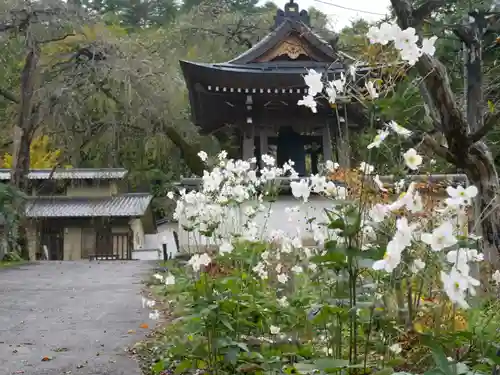 長谷寺のその他建物