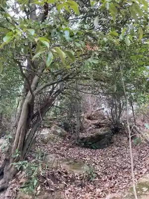 河上神社の周辺