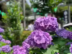 白山神社の自然