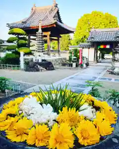 真言宗 善通寺派 薬王寺(香川県)(2023年05月17日(水) 18時41分49秒投稿)