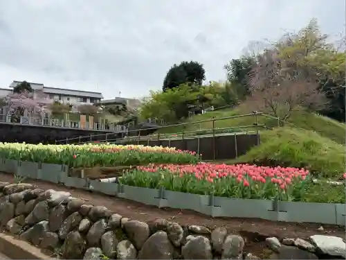 泉蔵寺(神奈川県)