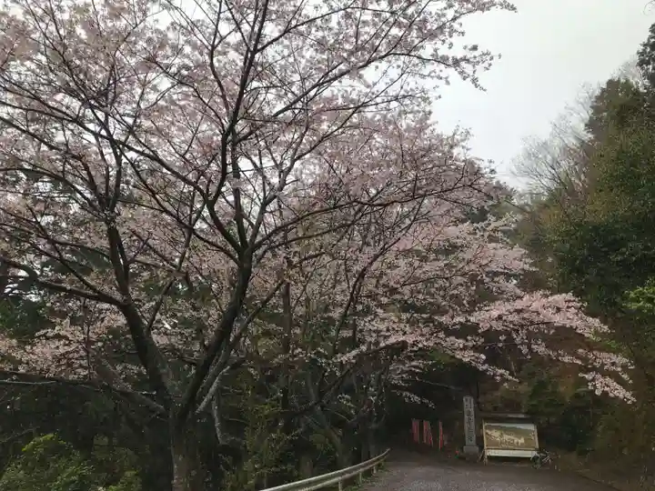 観音正寺の自然