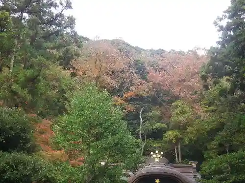 鶴岡八幡宮の自然