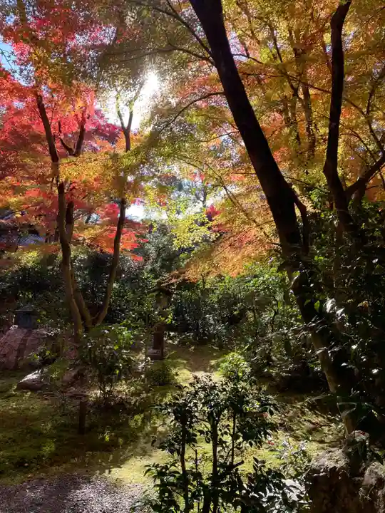 来迎院(京都府)