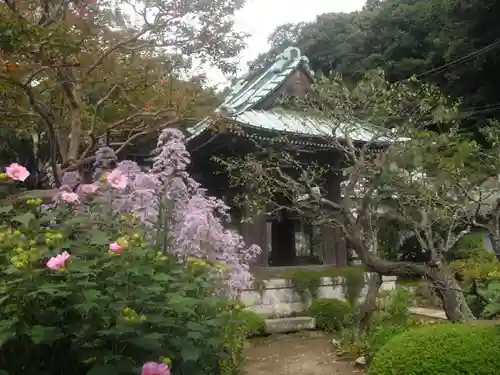 海蔵寺のその他建物