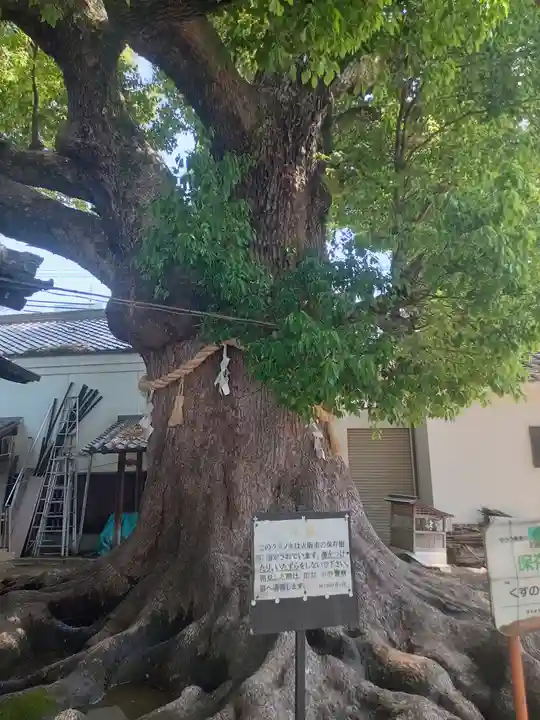 大念佛寺(大阪府)