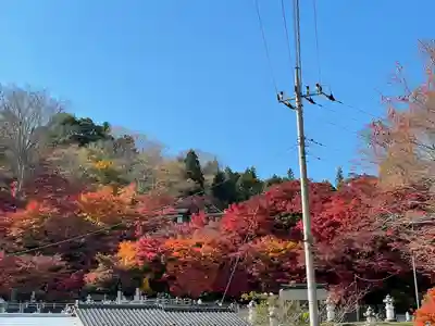 永源寺(茨城県)