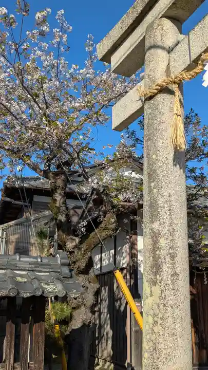 若宮神社(滋賀県)