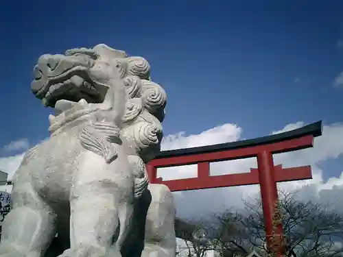 鶴岡八幡宮の狛犬