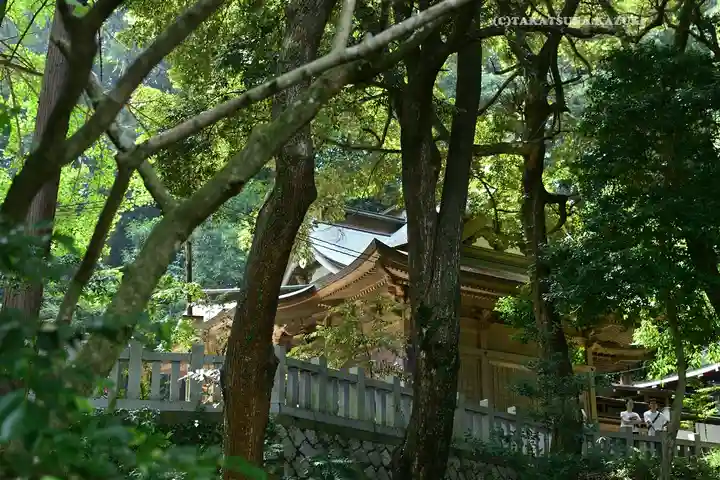 泉神社(茨城県)