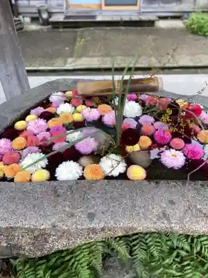 荘内神社の手水舎