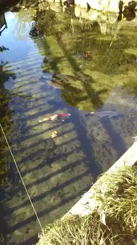 清水神社の庭園