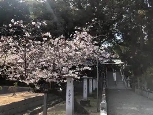 白山神社の自然