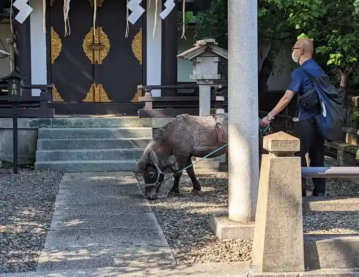 神田神社(神田明神)(東京都)