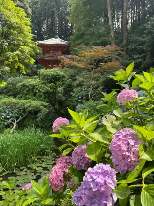 岩船寺(京都府)