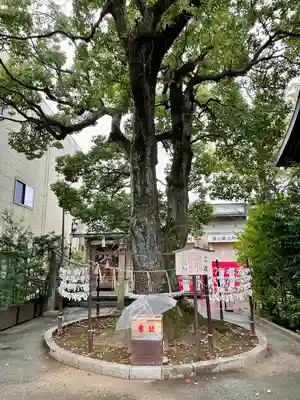 溝口神社(神奈川県)
