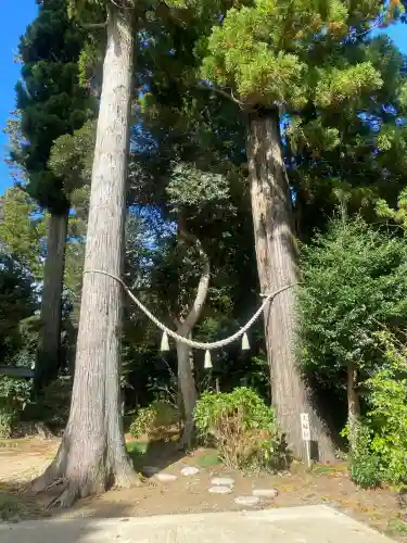 山倉大神(千葉県)