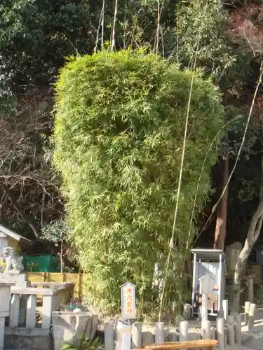 福祥寺（須磨寺）の自然