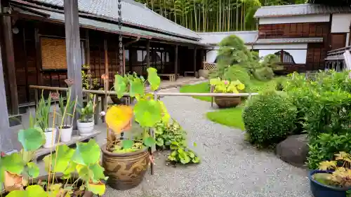 妙蓮寺(神奈川県)