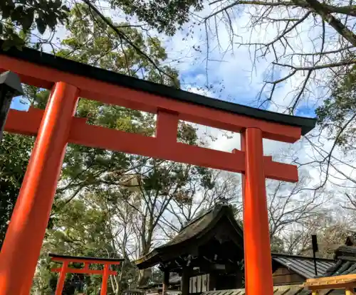 河合神社（鴨川合坐小社宅神社）の鳥居