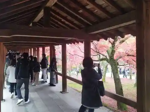 東福禅寺（東福寺）のその他建物