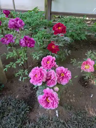 上野東照宮(東京都)