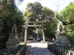 赤坂氷川神社の鳥居