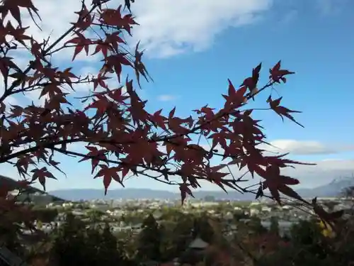 禅林寺（永観堂）の景色