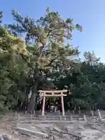 壱岐神社の{uncategorized: "未分類", other: "その他", undefined: "問題あり", building: "その他建物", grave: "お墓", sacred_gate: "鳥居", guardian: "狛犬", statue: "像", buddha: "仏像", history: "歴史", nature: "自然", garden: "庭園", animal: "動物", pagoda: "塔", temizu: "手水舎", mountain_gate: "山門・神門", sanctuary: "本殿・本堂", subordinate: "末社・摂社", art: "芸術", scenery: "景色", jizo: "地蔵", ema: "絵馬", goshuin: "御朱印", omikuji: "おみくじ", items: "授与品その他", amulet: "お守り", goshuincho: "御朱印帳", eats: "食事", festival: "お祭り", votive_dance: "神楽", shichigosan: "七五三参", wedding: "結婚式", experience: "体験その他", initially: "初詣", around: "周辺", anti_infection: "感染症対策"}