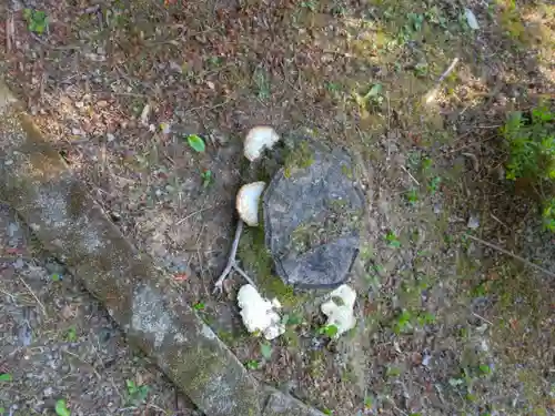 大善寺(兵庫県)