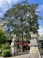 下神明天祖神社の狛犬