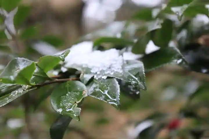猿丸神社(京都府)