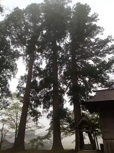 長田神社の自然
