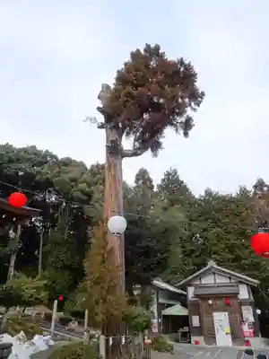 大野神社(滋賀県)
