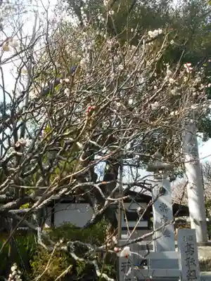 宝戒寺(神奈川県)