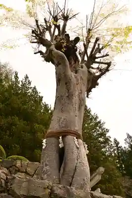 夫婦木神社(山梨県)