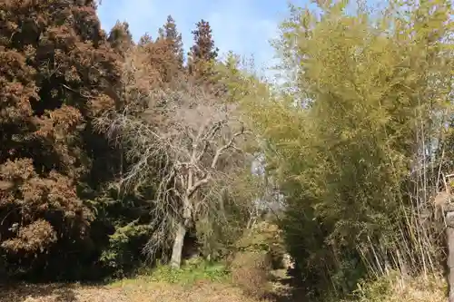 大六天麻王神社の景色