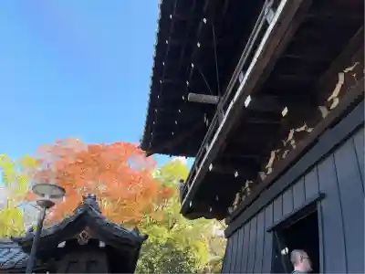 大雲院(京都府)
