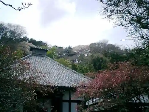 光則寺の景色