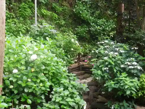 御霊神社の自然