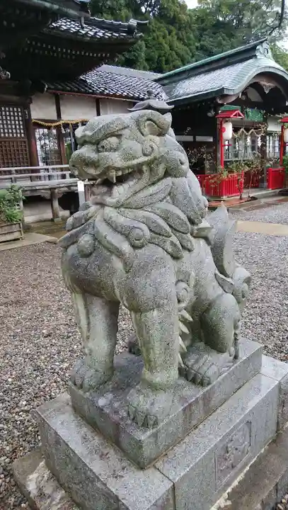 石浦神社の狛犬