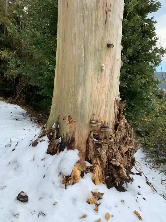 八雲神社(千葉県)
