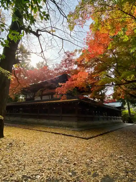 御霊神社(上御霊神社)(京都府)