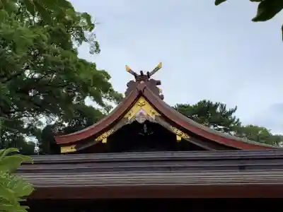 弓弦羽神社の本殿・本堂