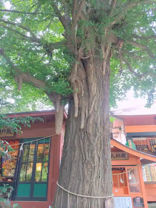 冠稲荷神社(群馬県)