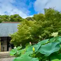 伊勢の国 四天王寺(三重県)