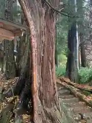 和田大仏(福島県)